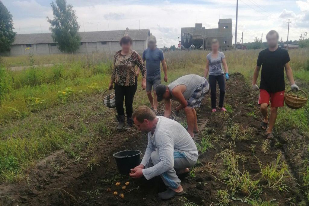 Воспитанники православного центра помощи «Здоровая Русь» помогли одиноким пожилым людям убрать урожай с приусадебных участков
