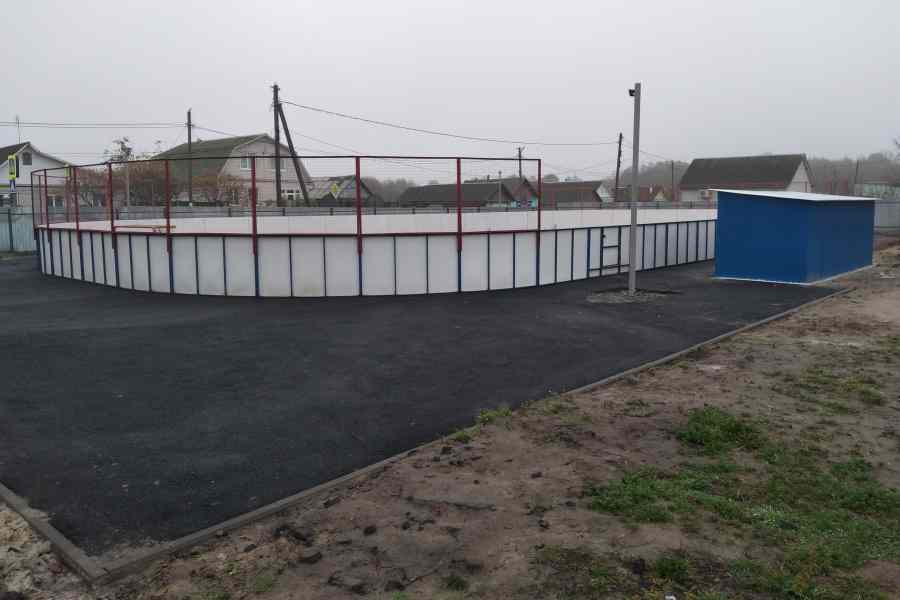 В селе Смотрова Буда Клинцовского района установили хоккейный корт