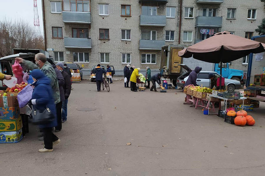 За день торговли на ярмарке выходного дня в Брянске реализовали 30 тонн капусты, картофеля, яблок, лука и моркови