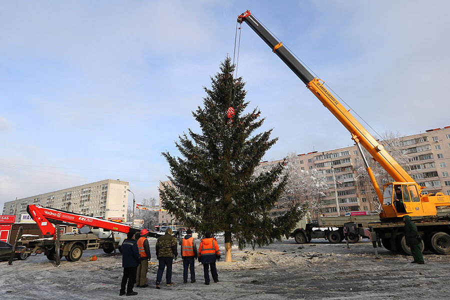 До конца этой недели в Брянске, в сквере Карла Маркса, установят главную новогоднюю ель областного центра