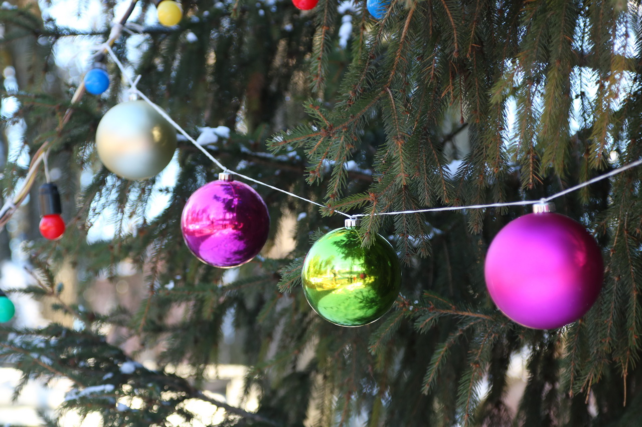 В Брянск приходит новогодняя сказка: главную лесную гостья украшают тысячей и одним разноцветным шаром