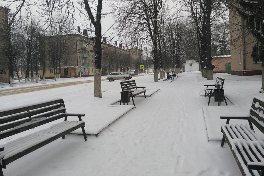 В Клинцах сегодня вяло идет снег и чуть ниже -10 градусов