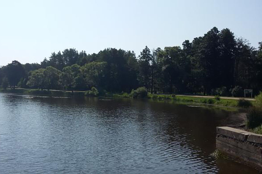 В Фокинском районе Брянска капитально отремонтируют гидротехнические сооружения Ковшовского озера