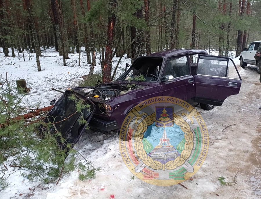 В Клинцовском районе в ДТП получили травмы водитель и пять перевозимых им пассажиров