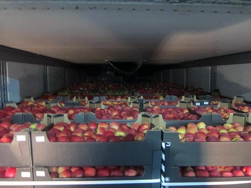 Брянская таможня оформила более 200 тонн фруктов и овощей