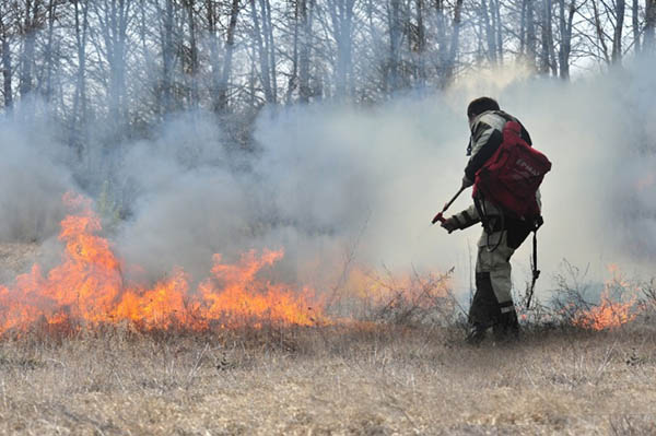 В Клинцах и Клинцовском районе с начала года зафиксировано 40 возгораний сухой травы